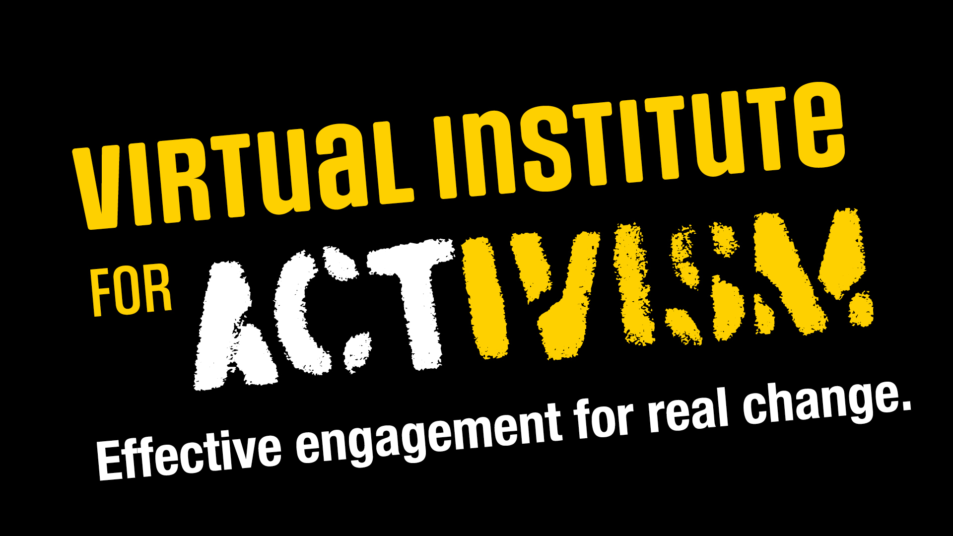 Virtual Institute of Activism